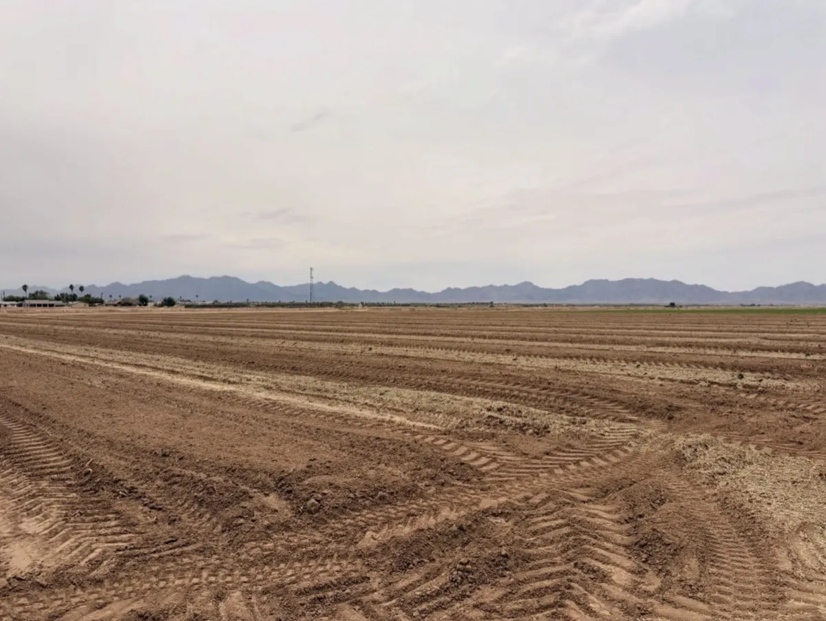 Freshly furrowed Arizona production field — ready for planting