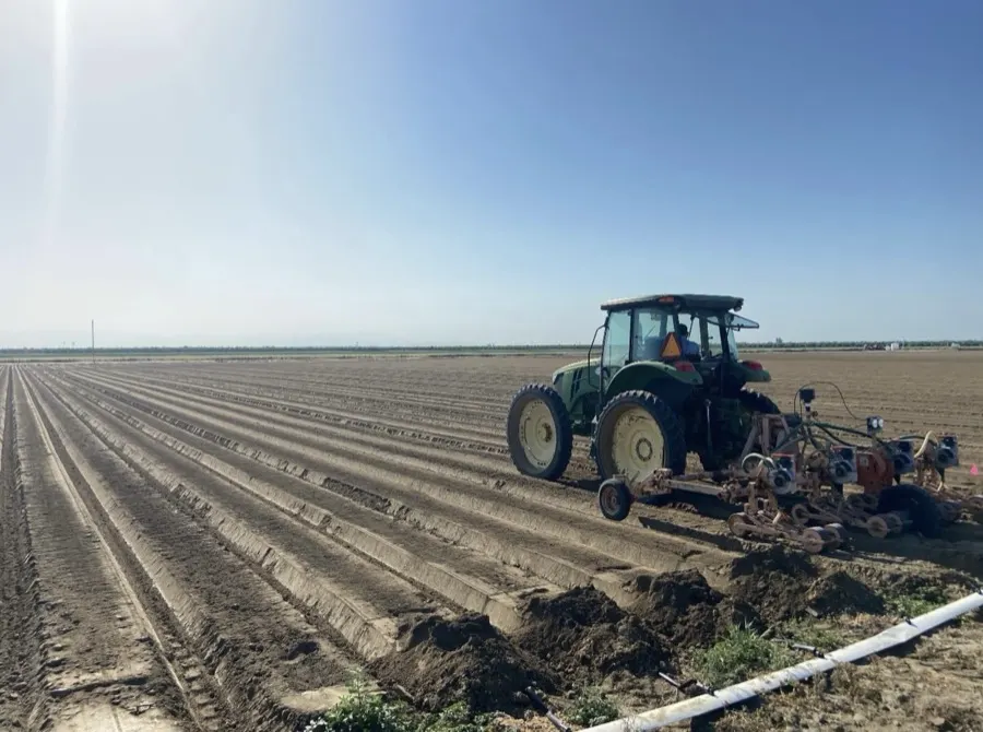 Lettuce seed sowing — drip tape and seed, McFarland, California