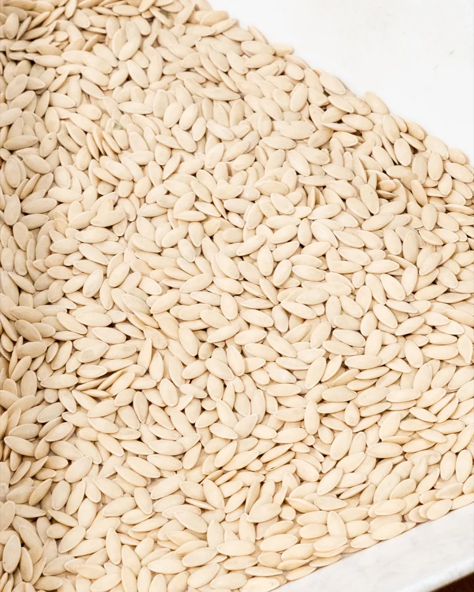 Cucumber seeds — Orsetti Seeds