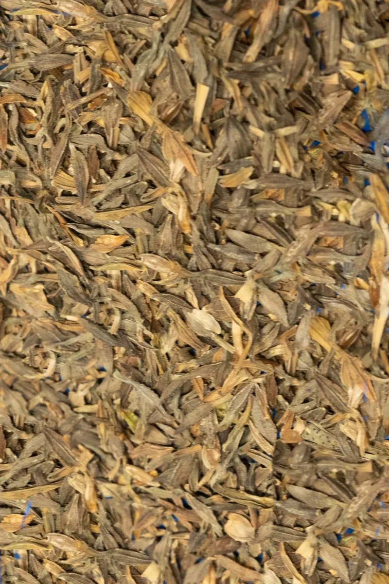 Seed lot material — Orsetti Seeds